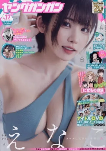 Cover of No. 17, 2025