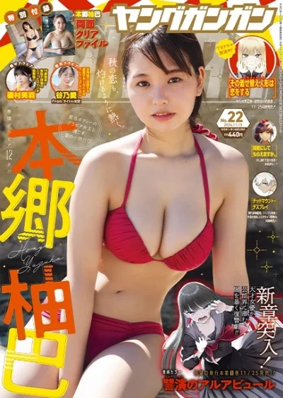 Cover of No. 22, 2024