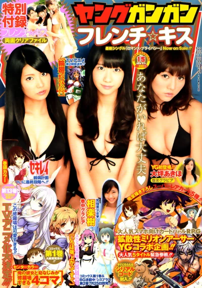 Cover of No. 15, 2012
