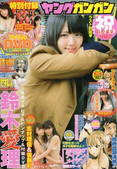 Cover of No. 5, 2013