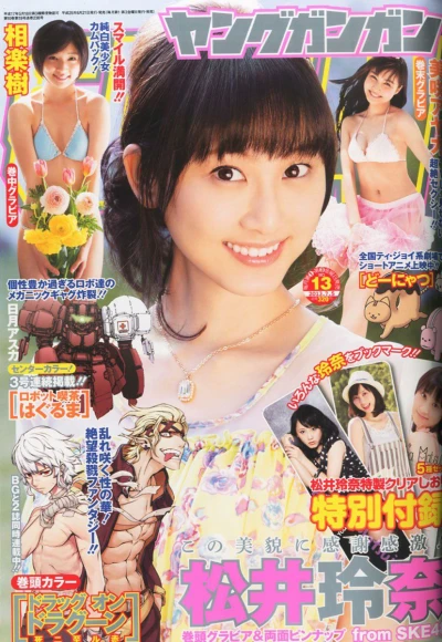 Cover of No. 13, 2013