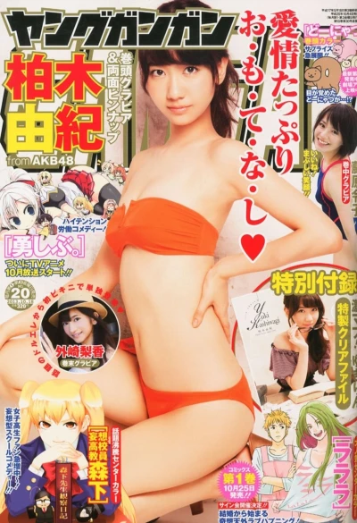 Cover of No. 20, 2013