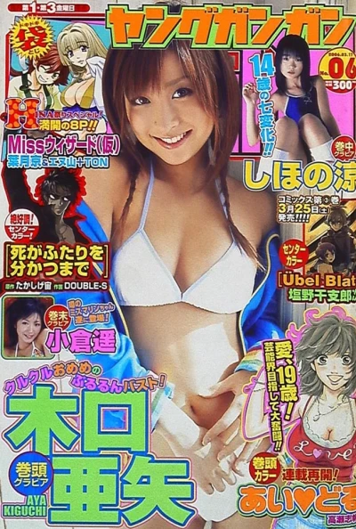 Cover of No. 6, 2006