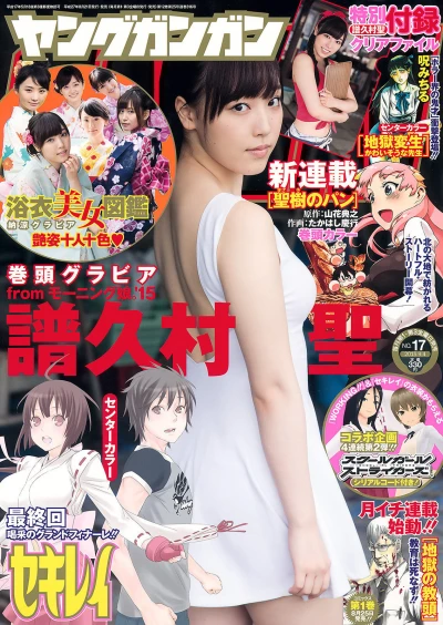 Cover of No. 17, 2015
