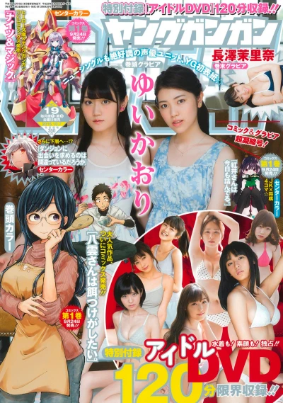 Cover of No. 19, 2016