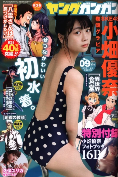 Cover of No. 9, 2017