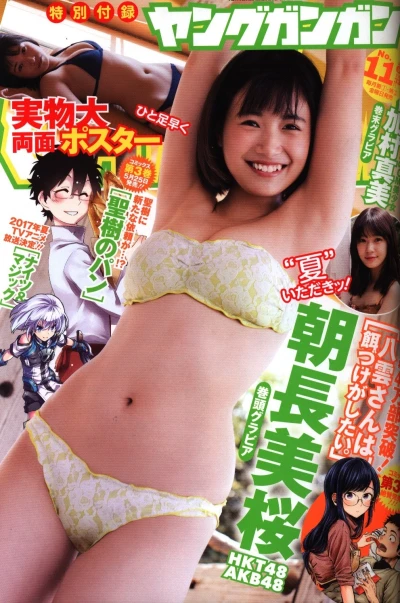 Cover of No. 11, 2017