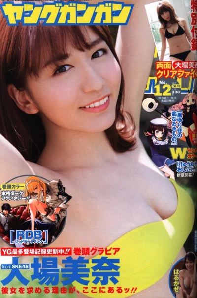 Cover of No. 12, 2017