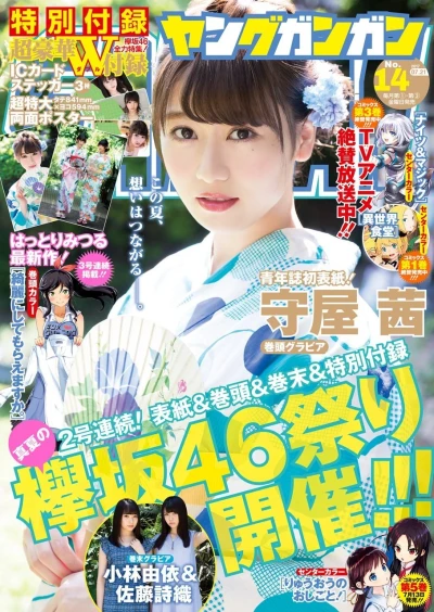 Cover of No. 14, 2017