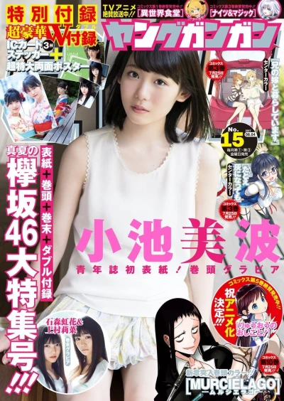Cover of No. 15, 2017