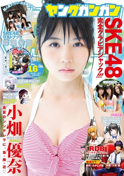 Cover of No. 16, 2017