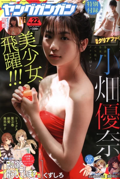 Cover of No. 22, 2017