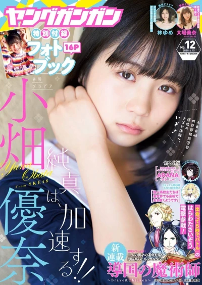Cover of No. 12, 2018