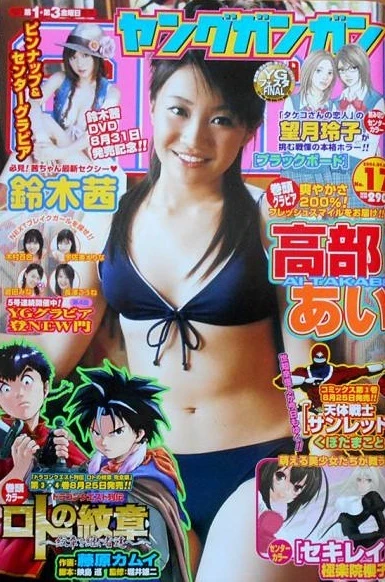 Cover of No. 17, 2006