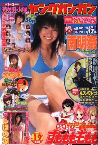 Cover of No. 19, 2006