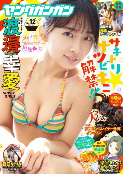 Cover of No. 12, 2019