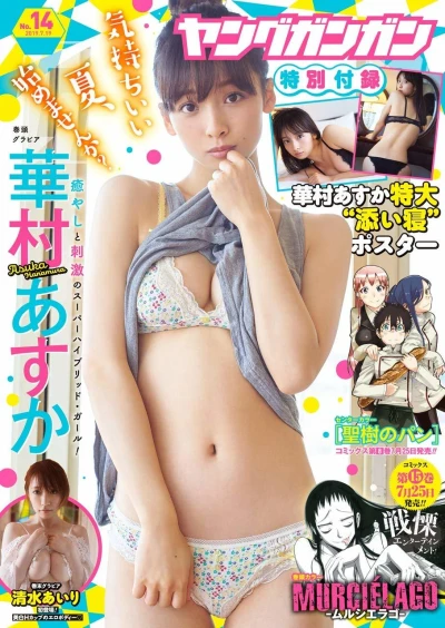 Cover of No. 14, 2019