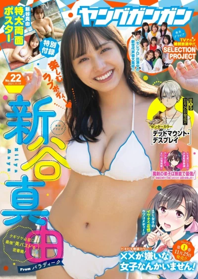 Cover of No. 22, 2021