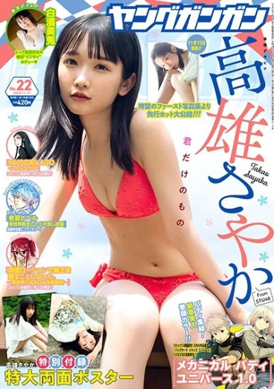 Cover of No. 22, 2023