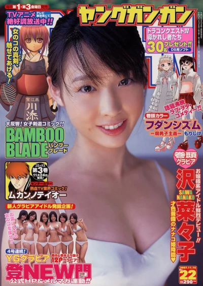 Cover of No. 22, 2007