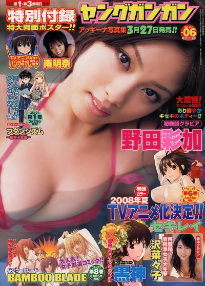 Cover of No. 6, 2008