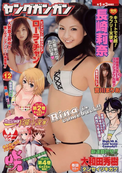 Cover of No. 12, 2008