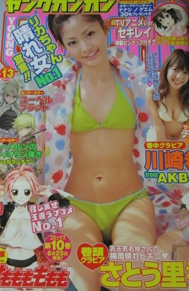 Cover of No. 13, 2008