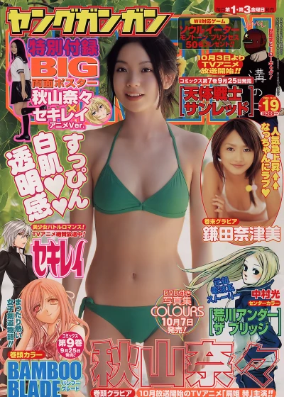 Cover of No. 19, 2008