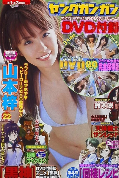 Cover of No. 22, 2008
