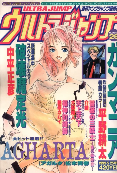Cover of Number 29
