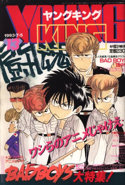 Cover of No. 13, 1993