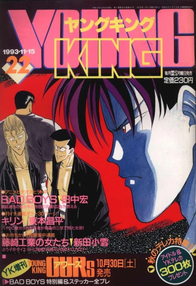 Cover of No. 22, 1993