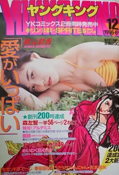 Cover of No. 12, 1996