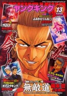 Cover of No. 13, 2007