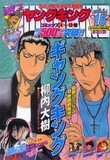 Cover of No. 15, 2008