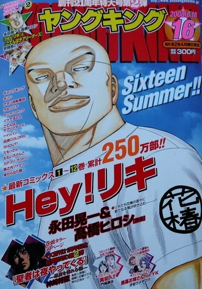 Cover of No. 16, 2008