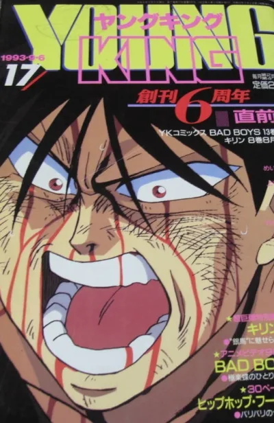 Cover of No. 17, 1993