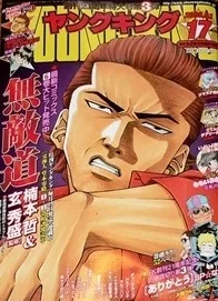 Cover of No. 17, 2008