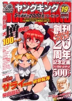 Cover of No. 19, 2007