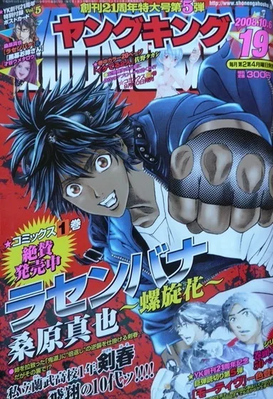 Cover of No. 19, 2008