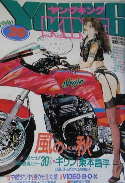 Cover of No. 20, 1991