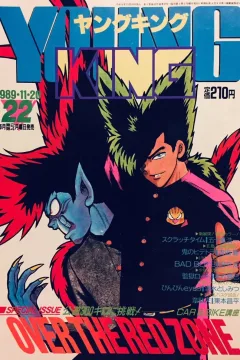No. 22, 1989