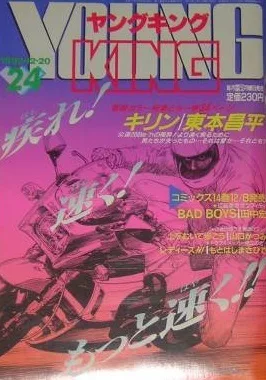 Cover of No. 24, 1993
