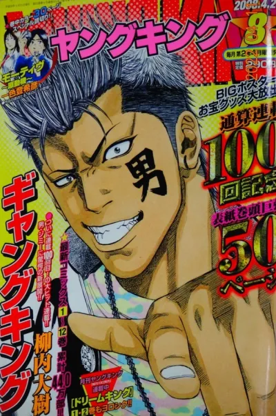 Cover of No. 8, 2008