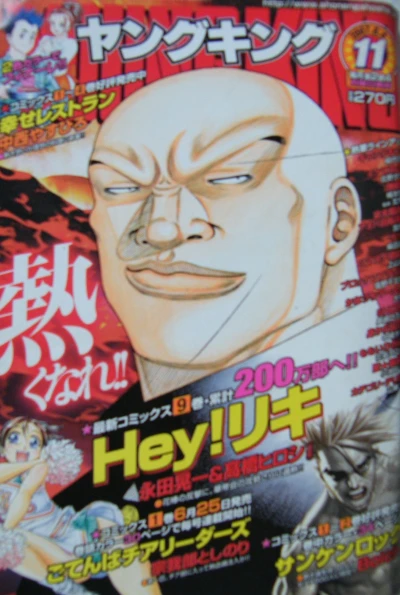 Cover of No. 11, 2007