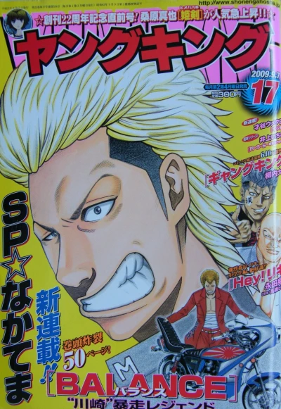 Cover of No. 17, 2009