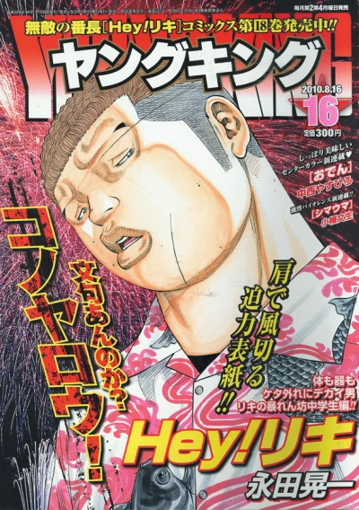 Cover of No. 16, 2010