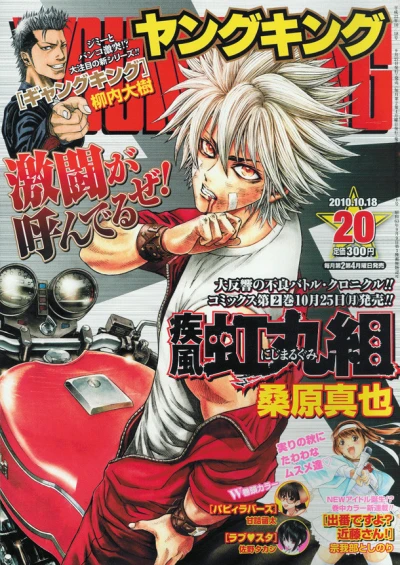Cover of No. 20, 2010