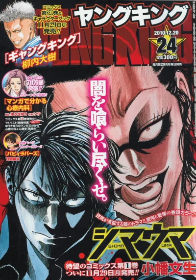 Cover of No. 24, 2010