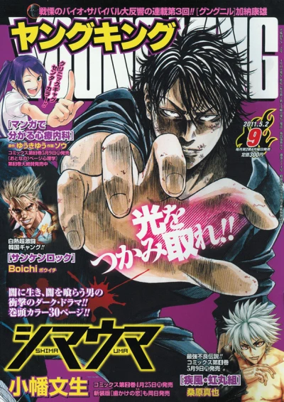 Cover of No. 9, 2011